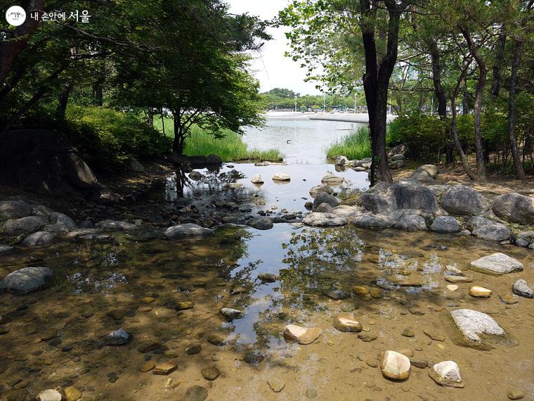 한강물이 난지연못으로 흘러 들어간다. 정기적인 정화작업을 통해 깨끗한 수질이 유지되고 있다. ⓒ최윤영