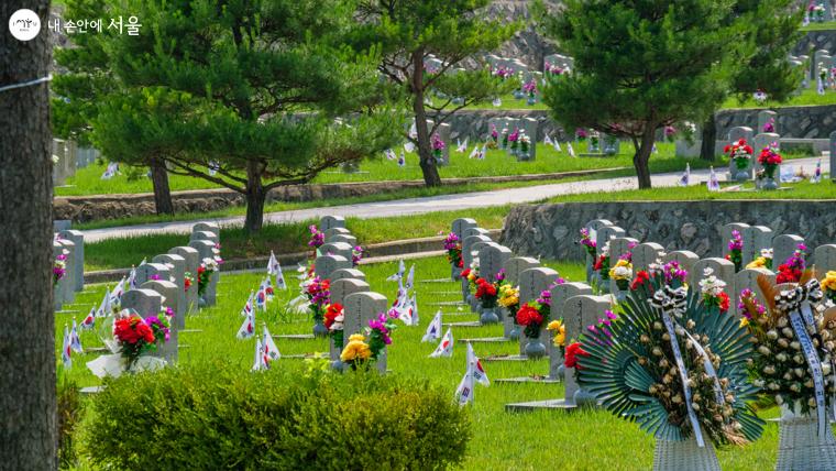 프로그램 투어 중 첫 번째 만난 ‘장병묘역’의 붉은 꽃들의 모습에 가슴이 뜨거워진다 Ⓒ오세훈