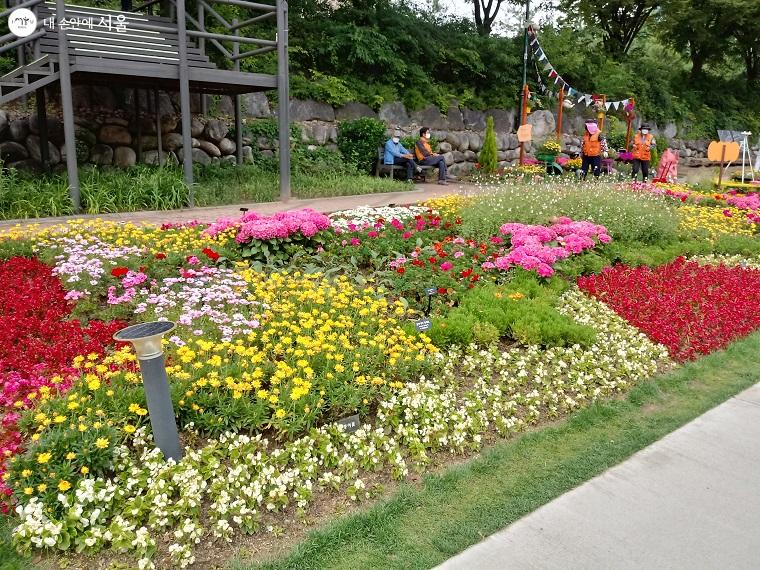 색색깔로 꽃을 배치해 더욱 풍성한 꽃길을 선사한다. 