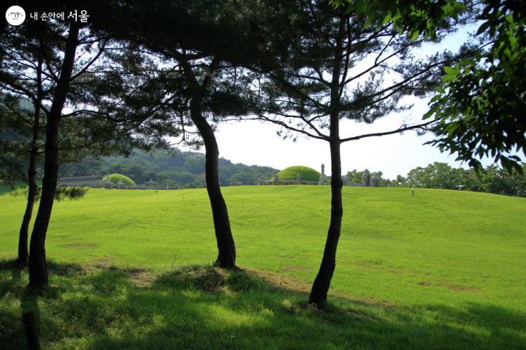 중앙정보부 강당을 지나오며 다시 바라본 능침