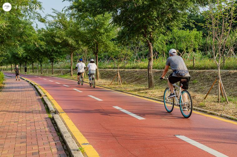 중랑천의 아름다운 꽃길과 자전거길을 이용하는 시민들의 모습 ⓒ유서경