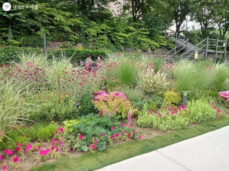 예쁜 당현천 꽃길에서 시민들이 휴식을 취하고 있다. 