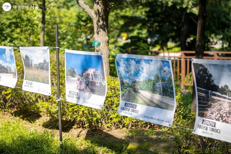 서울의 숨겨진 사계절의 아름다움을, 서울을 대표하는 공원들에게서 황홀하게 표현한 작품들이 많다. 