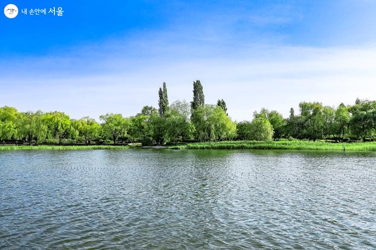 '평화의공원'을 대표하는 장소, 난지 연못 전경. 