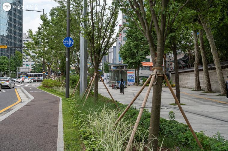 사람숲길 전 구간에 설치된 자전거 도로 ⓒ이재연