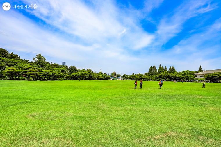 푸른 잔디가 인상적인 '겨레얼 잔디 마당' 전경.  현충원을 찾은 시민들의 모습이 보인다. 