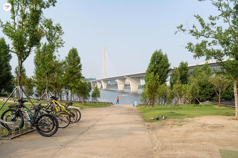 한강 서쪽에서 불어오는 찬바람을 막고 미세먼지를 저감시키기 위해 조성된 바람 저감 수림대 ⓒ이재연