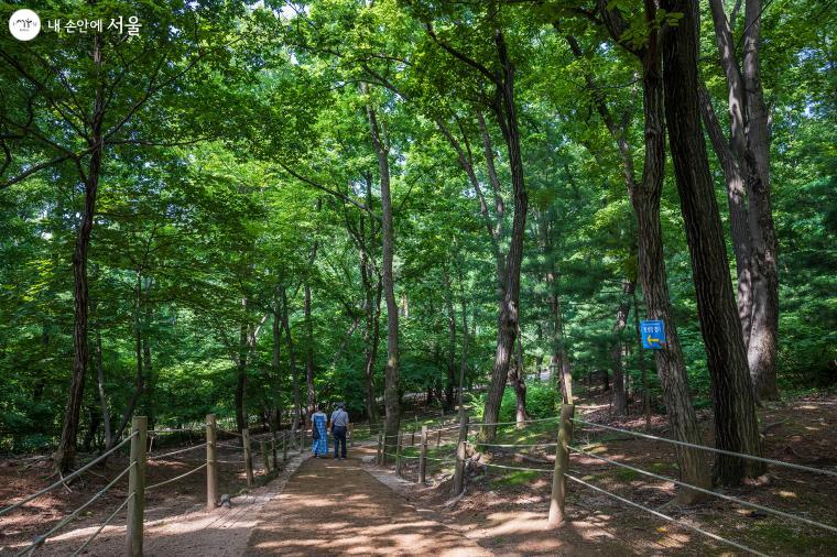 헌인릉 내에는 또 다른 산책로가 있다. 총 길이 570m로 헌릉을 감싼 산책로는 헌릉 우측에서 출발하는 것을 추천한다. 코로나19로 '한 방향 걷기'에 따르기 위해서다 ⓒ양인억