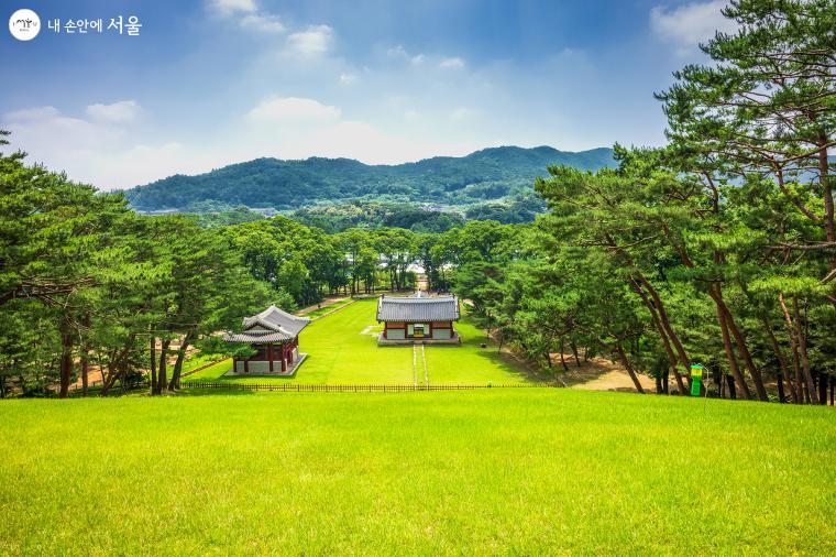 대모산을 주산으로 한 헌릉에서 내려다 본 전경. 능역을 소나무가 에워싸고 있고 정자각과 좌측의 비각이 보인다 ⓒ양인억