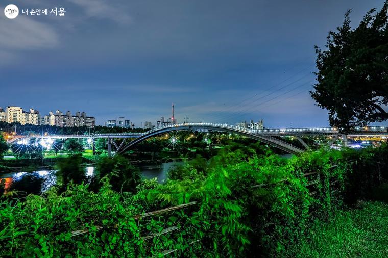 선유도공원에서 바라본 선유교 전경