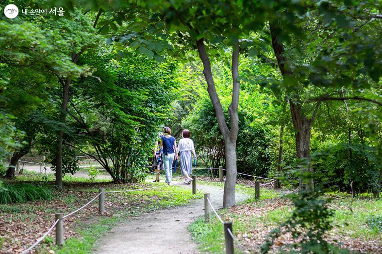 피톤치드를 듬뿍 들이마시며 산책하는 시민들 