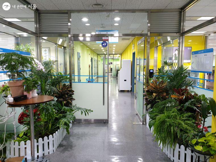 서울산업진흥원 본사 입구에 식물들이 가득하다.