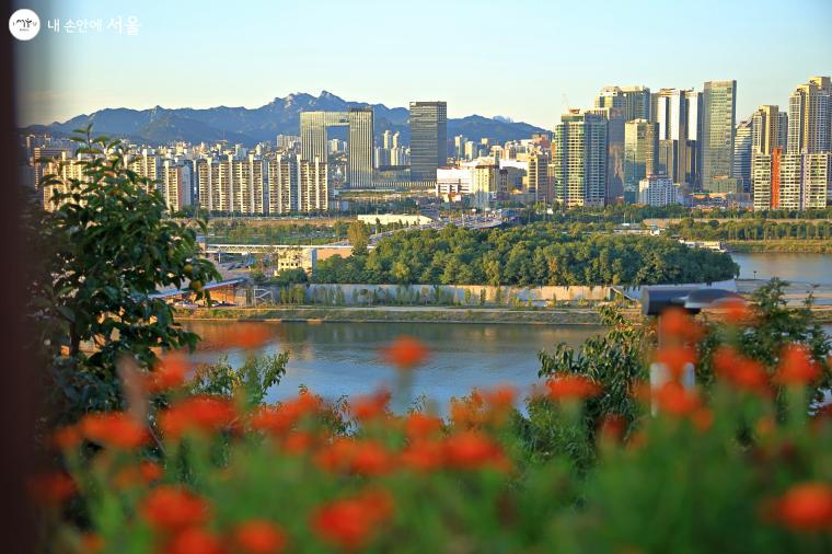 용양봉저정공원 정상 전망대에서 내려다보는 한강과 서울 풍경 