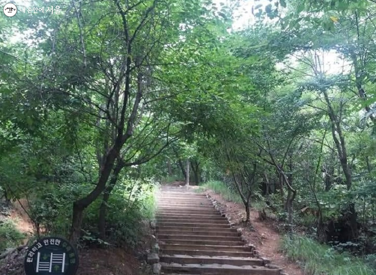 100m 남짓한 계단을 오르면 일자산에서 가장 높은 곳에 해맞이 광장이 위치하고 있다.