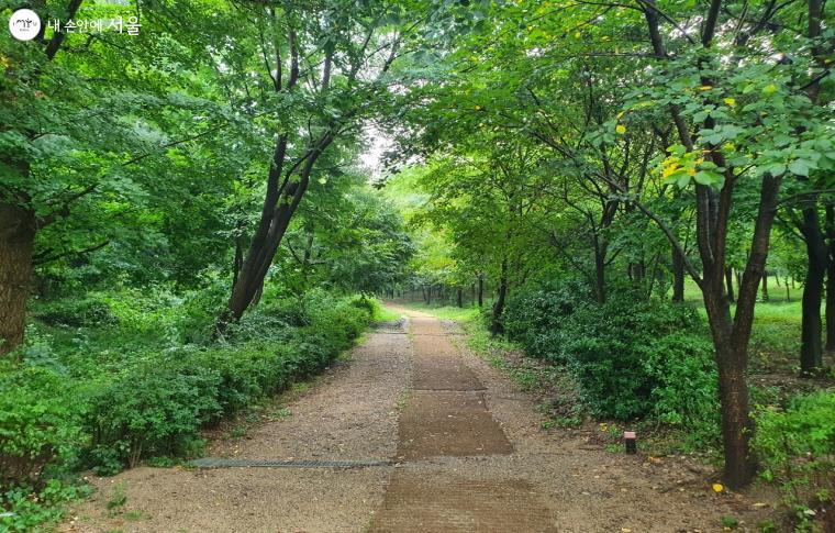 서울시 '가을철 걷기 좋은 길' 중 하나인 국사봉 숲길