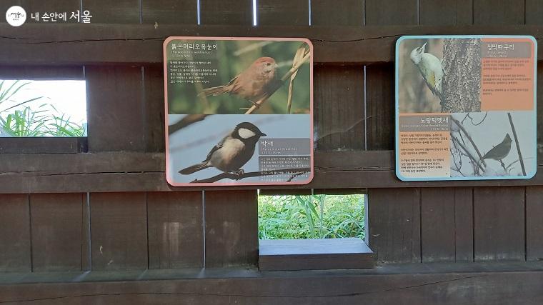 철새들에 대한 설명도 보고 높낮이가 다른 창을 통해 새를 관찰할 수 있다. 