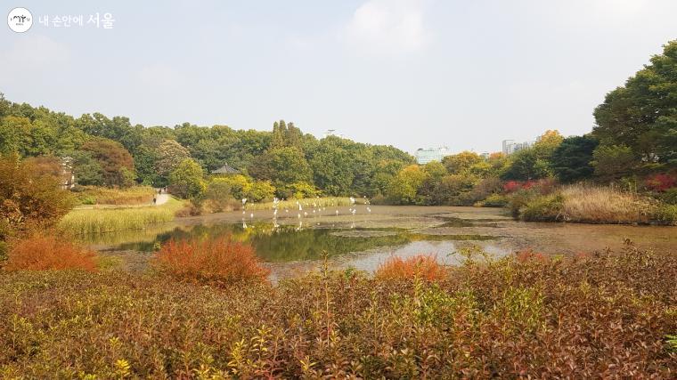 단풍과 함께 펼쳐진 올림픽공원 7경 88호수 전경 