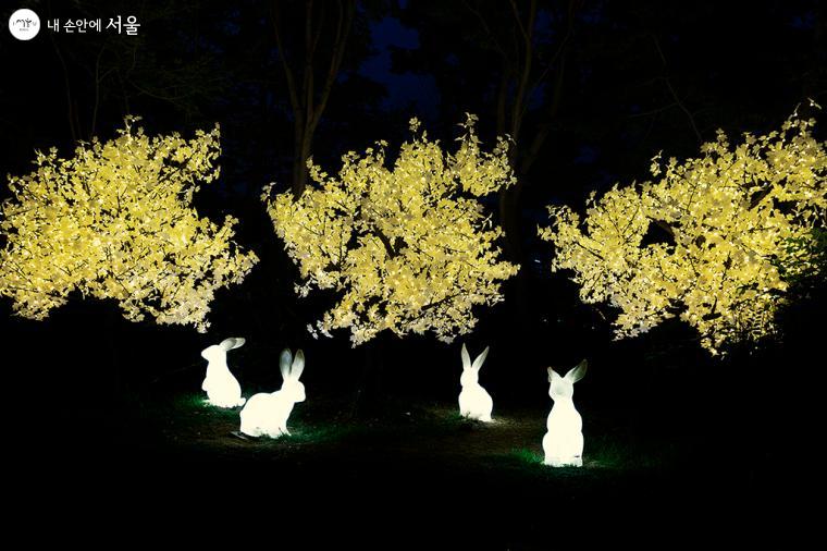 일루미아트리 ‘숲이 전해주는 이야기’ 신비한 LED 조명이 밤에 더욱 화려하게 빛난다. 마음을 공유하는 숲을 그려본다 ⓒ문청야
