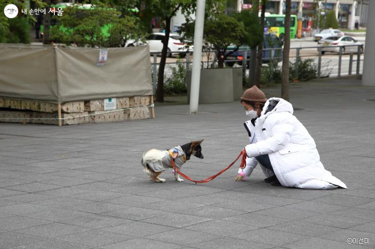 위풍당당 산책 교육에서 반려인과 반려견이 기본적인 명령을 연습하고 있다.