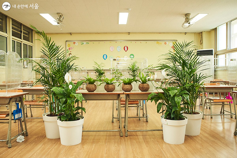 1인1감탄 챌린지에 참여하면 서울시내 초등학교에 참여자 이름으로 교실숲이 기부된다. 