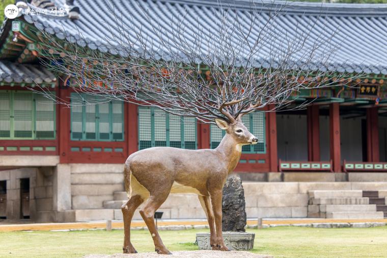 준명당과 즉조당 앞에 자리 잡은 김명범 작가의 '원'이라는 작품, 수사슴의 뿔이 초현실적인 느낌을 선사하고 있다