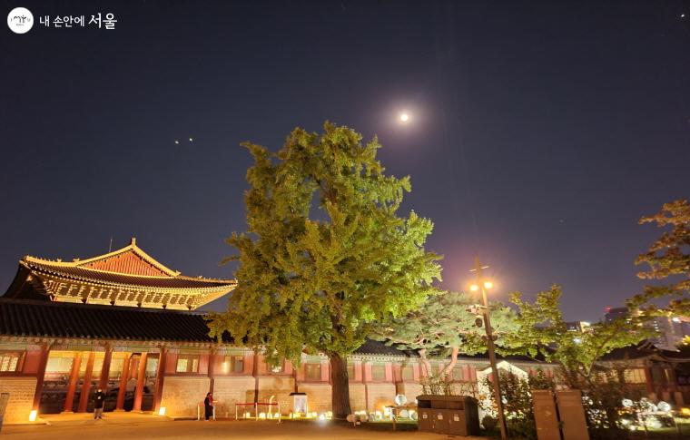 가을 밤, 달빛 아래 궁중문화축전 경복궁 전시 특별 야간관람이 진행됐다.