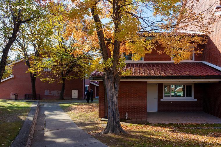 이국적인 풍경을 간직한 용산공원 내 장교숙소, 빨간 벽돌로 된 주택과 가을색으로 물든 예쁜 나무들 ⓒ문청야