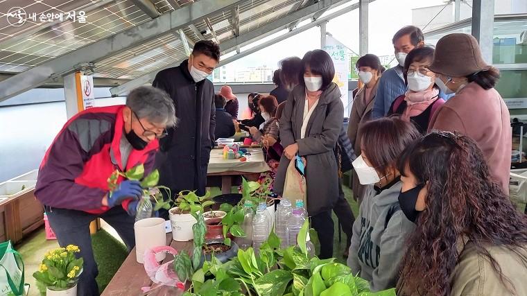 노원50플러스센터에 입주한 인큐베이팅 단체 '힐링마을 정원사회'의 물꽂이 식물 나누기 체험 ⓒ이봉덕