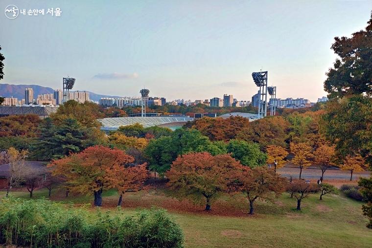 야생화 학습장 옆 산책로에서 보는 올림픽공원에서 가을이 흠뻑 느껴진다 ⓒ김명희