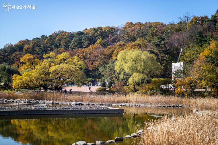 보라매공원에서 인기 있는 산책 장소인 중앙 호수 ⓒ임중빈