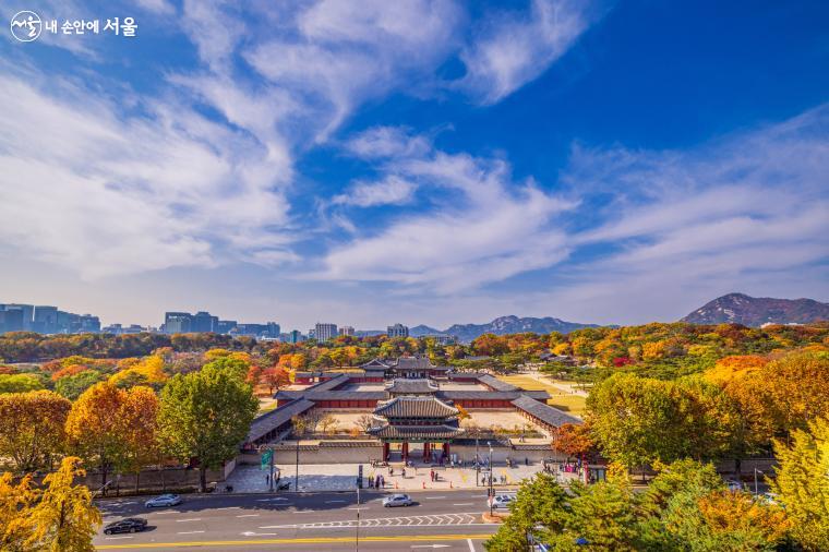 창경궁 맞은편 서울대학교병원 암병동 행복정원은 무료로 창경궁을 한눈에 조망할 수 있는 멋진 곳이다. 단풍으로 둘러싸인 창경궁이 너무도 아름답다 ⓒ양인억