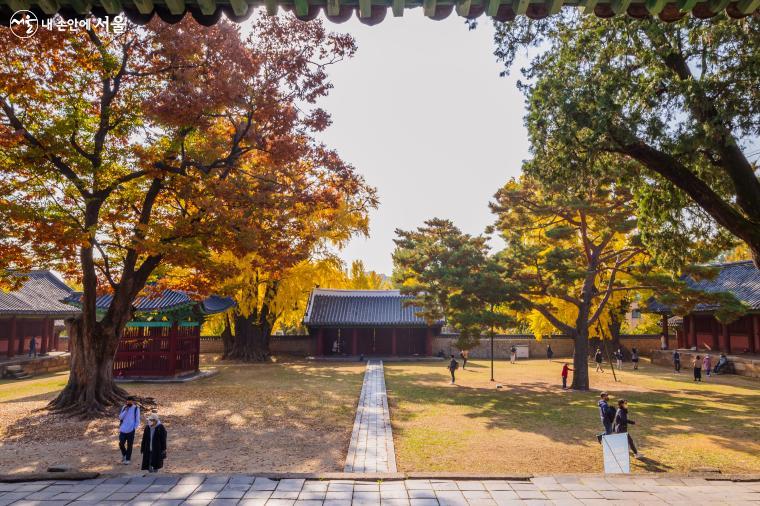 성균관 문묘도 전묘후학의 원리에 따라 공자와 유학자의 위패를 모신 사당(대성전)이 앞에 있다. 대성전 위 월대에서 본 삼문과 문묘 안의 전경 ⓒ양인억