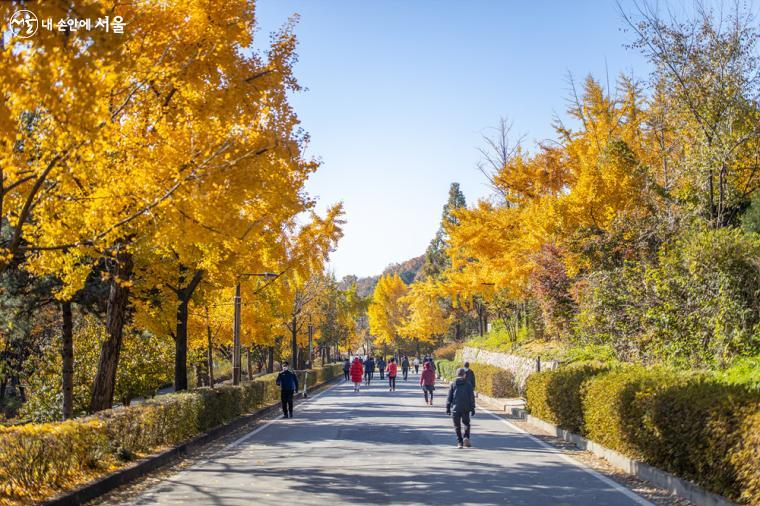 온화하고 청명한 가을의 주말 날씨를 맞아, 많은 시민들이 보라매공원의 산책로를 걷고 있다.