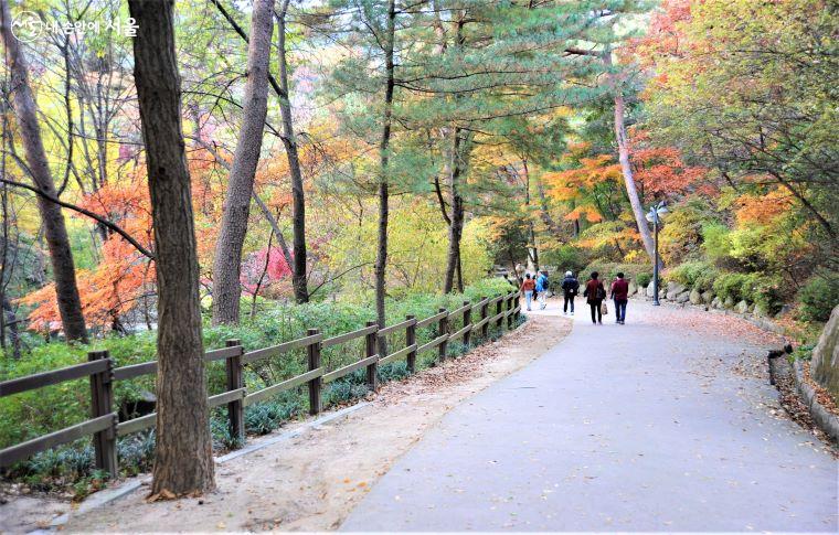 가을 단풍 사이로 삼청공원을 산책하는 시민들 ⓒ조수봉