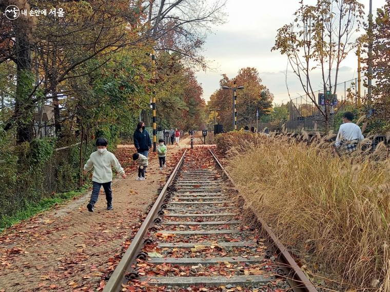 경춘선숲길에서 앞서거니 뒷거리니 마냥 즐거운 장난꾸러기 삼형제가 놀고 있다. ⓒ이봉덕