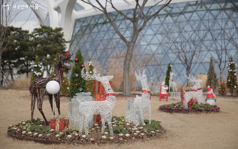 서울식물원은 내년 2월 말까지 겨울 특별전시를 진행한다 