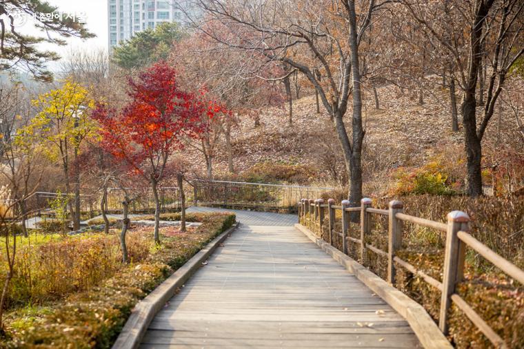 서울기록원과 함께 방문 및 산책하기 좋은 북한산 생태공원, 가을단풍길(진흥로)과 인접해있다. ⓒ임중빈