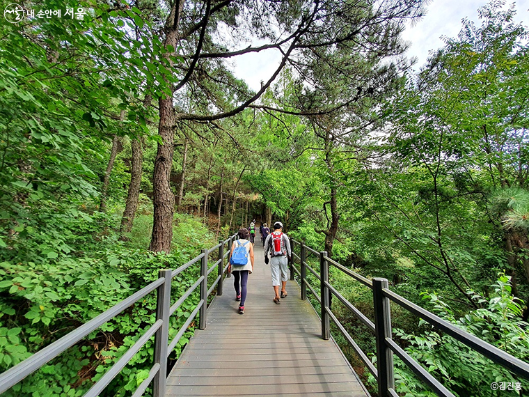 시민들이 산책로로 자주 애용하는 안산 자락길