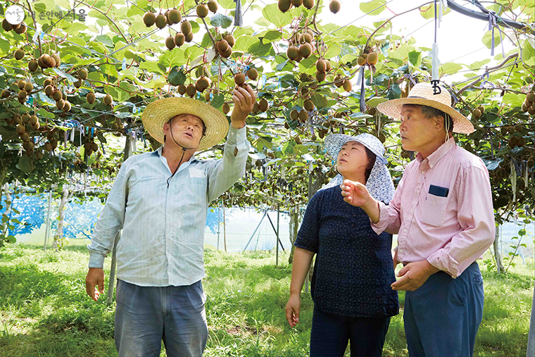 서울시는 전국 9곳을 대상으로 ‘체류형 귀농지원사업’ 참여자를 모집한다. 