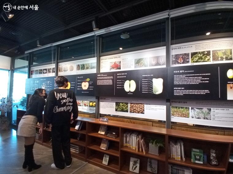 씨앗도서관에 있는 식물에 관한 정보글을 읽고 있는 시민들