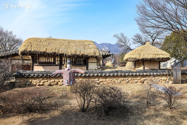 초가집 앞쪽에 위치한 허수아비 모습이 정겨워 보인다. 