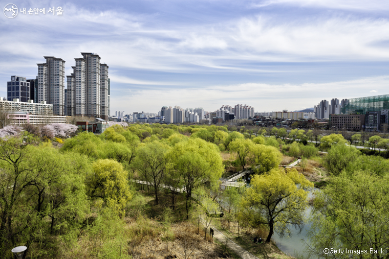 서울시가 향후 5년간 2000㎞ 규모의 녹색길을 조성한다.