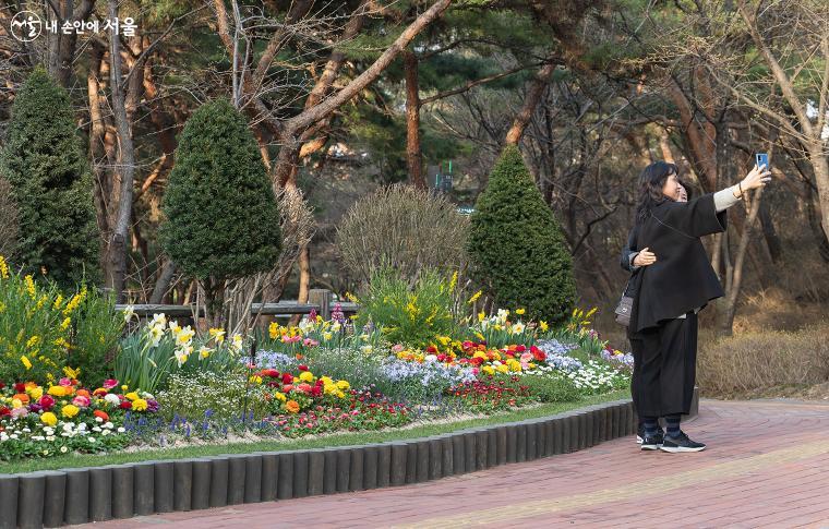 남산 북측순환로 입구에 조성된 화단. 시민들이 발걸음을 멈추고 화단을 배경으로 사진을 촬영하고 있다. 