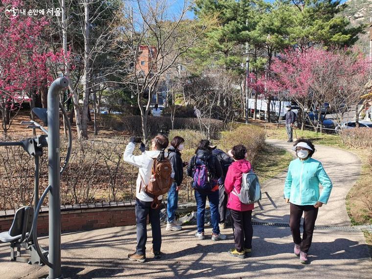 공원에서 홍매화 구경하고 있는 주민들