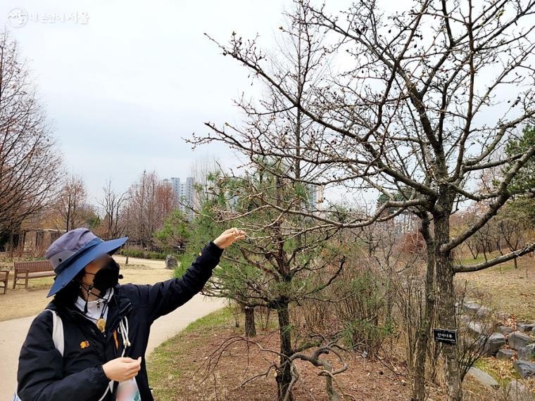 숲 해설가와 함께 수목원을 탐방하는 ‘걸어서 수목원 속으로!’ 프로그램