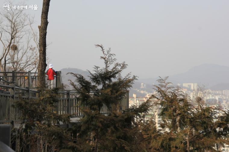 봉산 편백숲 전망대 ©엄윤주