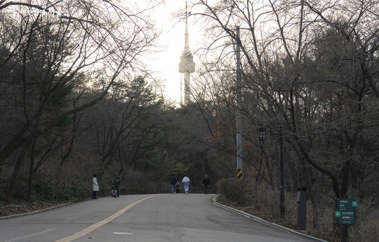 "이제 곧 벚꽃도 볼 수 있어요." 남산은 고도차로 기온 낮아 지상보다 개화가 늦다. 4월 중으로 남산 벚꽃을 볼 수 있을 것으로 보인다. 