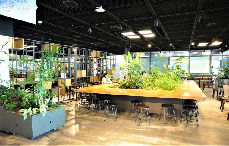 식물 정원 콘셉트로 인테리어 한 서울식물원의 카페 ‘코레우리’ ⓒ조수봉