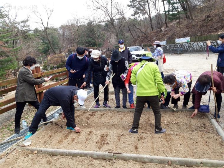 치매 어르신들이 직접 꽃씨를 파종하고 있다.