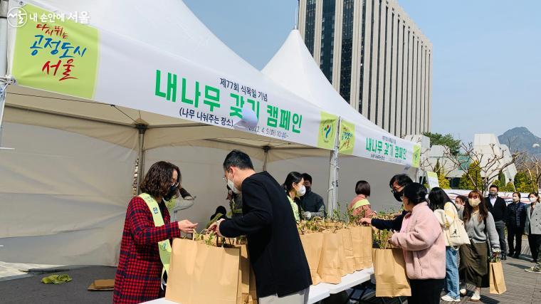 세종로공원에서 시민들에게 나무를 무료로 나눠주고 있는 모습